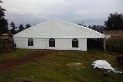 carpas-gigantes-00045