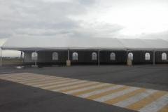 carpas-gigantes-00084