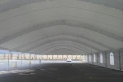 carpas-gigantes-00087