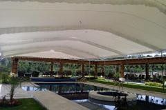 carpas-gigantes-02868