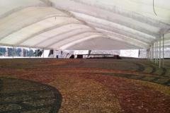 carpas-gigantes-toluca-00482
