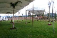toldos-carpas-toluca-02909