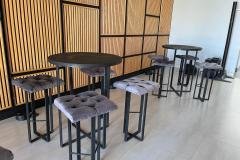 renta-de-periqueras-lerma-toluca